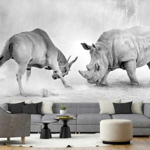 Papel pintado lucha de animales salvajes  364x270cm