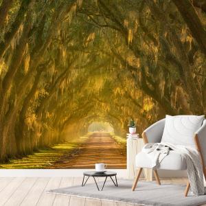 Papel pintado panorámico avenida de árboles 364x270cm