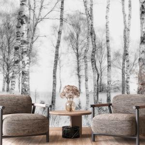 Papel pintado panorámico bosque 364x270cm