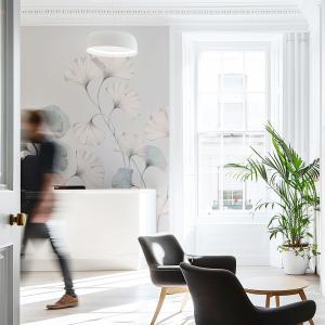 Papel pintado panorámico flores de ginkgo gris 300x250cm