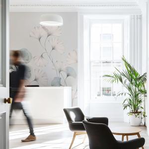 Papel pintado panorámico Flores de ginkgo, Gris 525 x 250cm