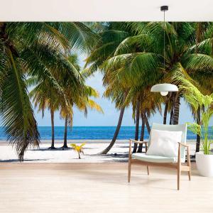 Papel pintado panorámico playa tropical 364x270cm