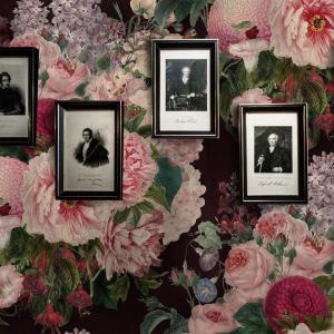 Papel Pintado Terciopelo, papel auténtico, 200x280cm, 8 hoj…