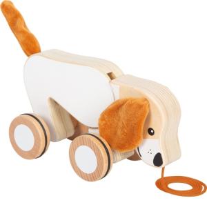 Perro con orejas crepitantes de arrastre