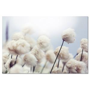 Pintar flores de algodón al viento impresión sobre lienzo 9…