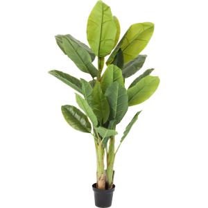 Planta de plátano artificial de polietileno y hormigón H180…