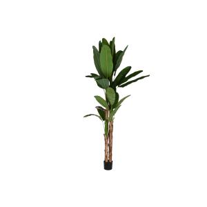 Planta pe cemento bananero verde 90x90x290cm