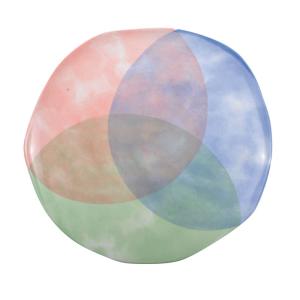 Plato plano tricolor - paradise