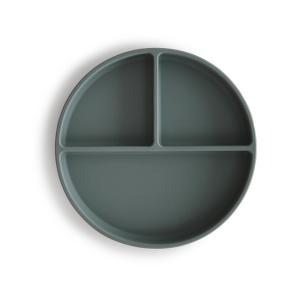 Plato ventosa-compartimentos dried thyme