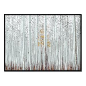 Póster con marco negro - bosque blanco - 30x40