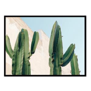 Póster con marco negro - cactus - 50x70