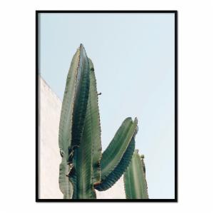 Póster con marco negro - cactus color - 50x70