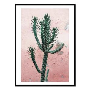 Póster con marco negro - cactus fondo rosa - 30x40