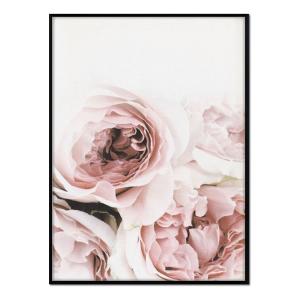 Póster con marco negro - cuatro rosas - 50x70