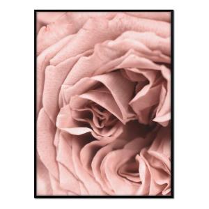 Póster con marco negro - detalle rosa - 30x40