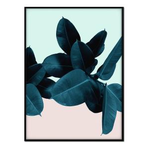 Póster con marco negro - ficus fondo azul y rosa - 30x40