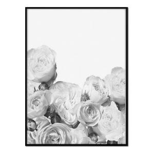 Póster con marco negro - rosas en blanco y negro - 30x40