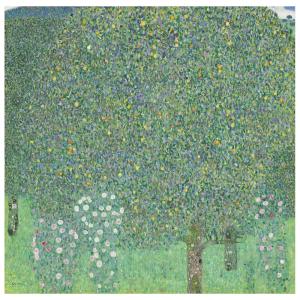 Rosales Debajo de Los Árboles - Gustav Klimt - cm. 60x60