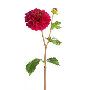 Tallo de dalia con brote artificial fucsia h50