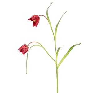 Tallo de fritillaria imperial artificial rojo h70