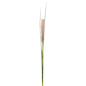 Tallo de gramínea artificial beige oscuro h142