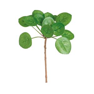 Tallo de hojas de pilea artificial verde h33