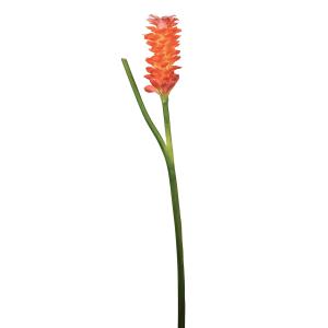 Tallo de jengibre en flor artificial naranja h99