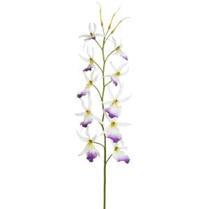 Tallo de orquídea araña artificial blanca y morada h116