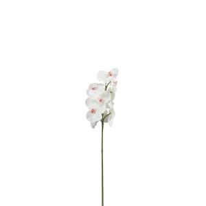 Tallo de orquídea artificial blanca h50