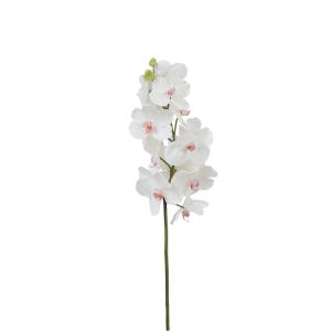 Tallo de orquídea bandailan artificial blanca h66