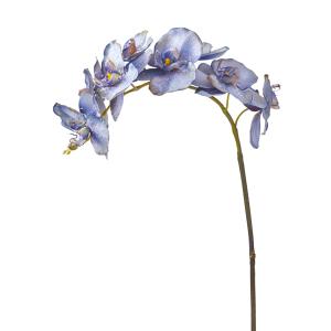 Tallo de orquídea phalaenopsis artificial azul h100