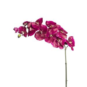 Tallo de orquídea phalaenopsis artificial fucsia h104