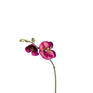 Tallo de orquídea phalaenopsis artificial fucsia h26