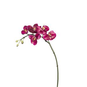 Tallo de orquídea phalaenopsis artificial fucsia h42