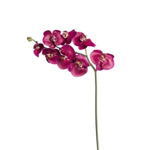 Tallo de orquídea phalaenopsis artificial fucsia h87