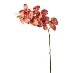 Tallo de orquídea phalaenopsis artificial roja h100