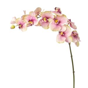 Tallo de orquídea phalaenopsis artificial rosa h104