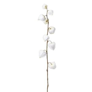 Tallo de physalis artificial blanca h54