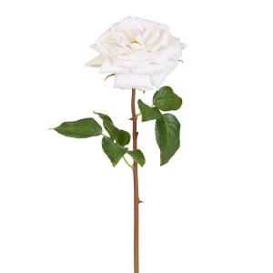 Tallo de rosa rosie artificial blanca h50