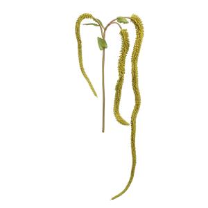 Tallo de setaria colgante artificial verde h114