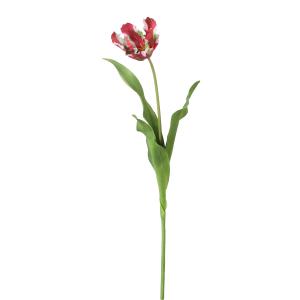 Tallo de tulipán loro artificial rojo y verde h63