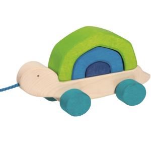 Tortuga animal de arrastre